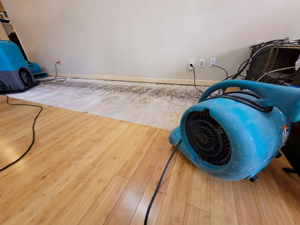 Professional Water Extraction technician working in Union, NE